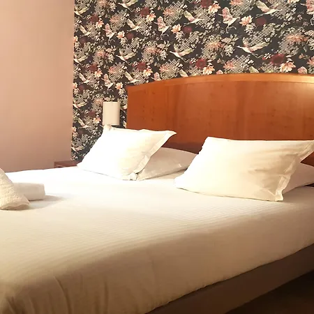 道费内大酒店 3* 土伦
